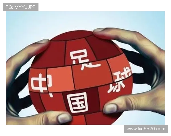 专访赵磊：揭秘足球背后的成功秘诀与未来发展方向