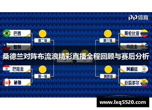 桑德兰对阵布流浪精彩直播全程回顾与赛后分析
