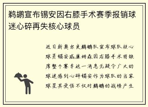鹈鹕宣布锡安因右膝手术赛季报销球迷心碎再失核心球员